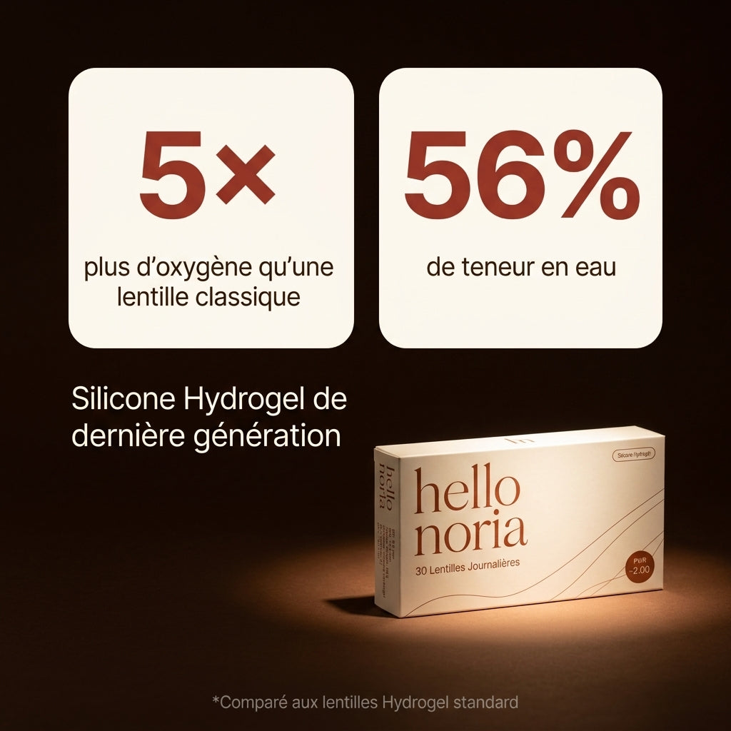 Noria Lentilles Journalières